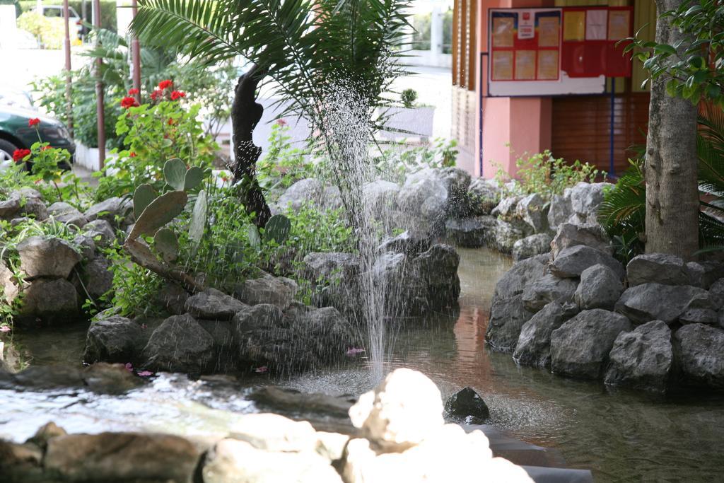 Hotel Kamelija Tivat Exterior photo